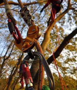 Mobirise